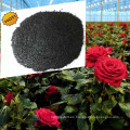 Fertilizante Favorate de Rosas Rojas